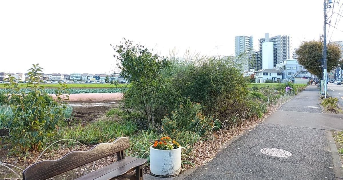 Kiyose and Nagareyama Are Both Attracting New Residents—Who Should Your Rental Building Target?