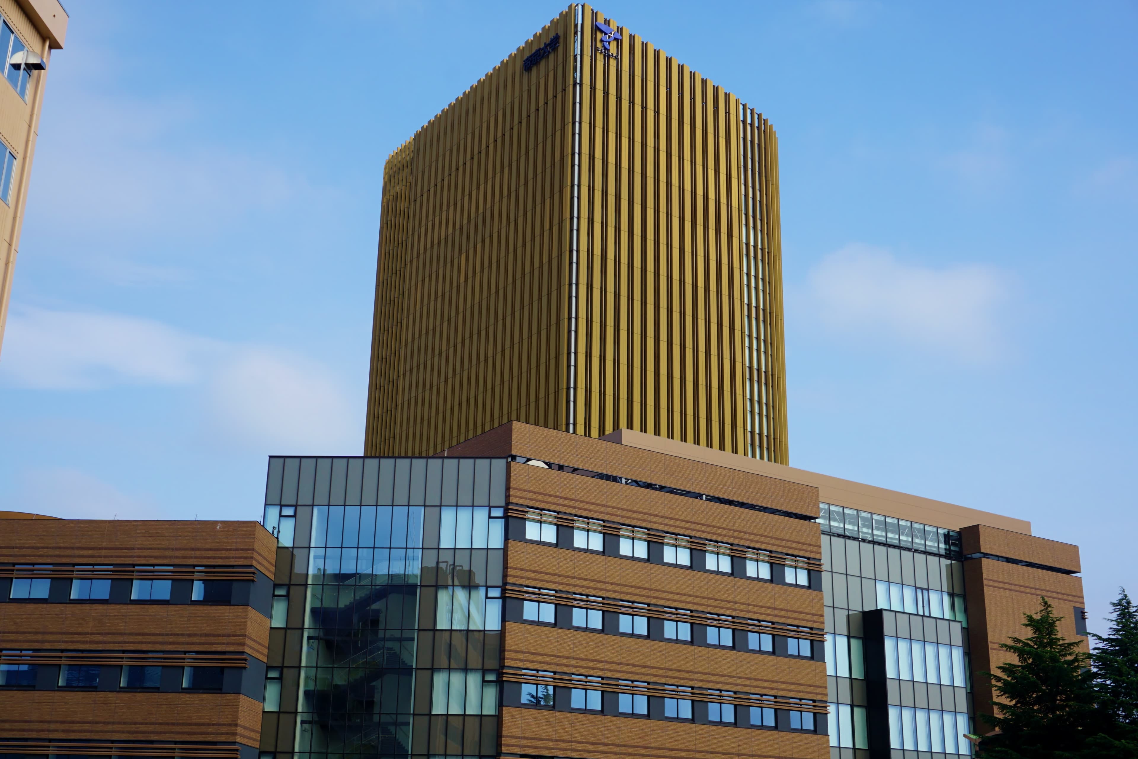 Teikyo University Stays in Hachioji: How to Turn Student Demand into Rental Income with Nearby Small Units?
